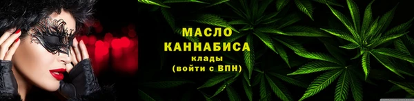 МДПВ Вяземский